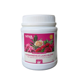 Tirpios trąšos kambarinėms ir lauko gėlėms 1 kg 1000×1000